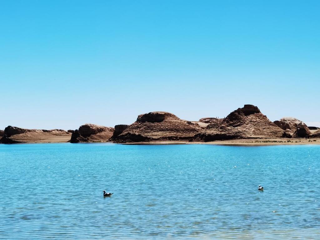 微信图片_20241223174449