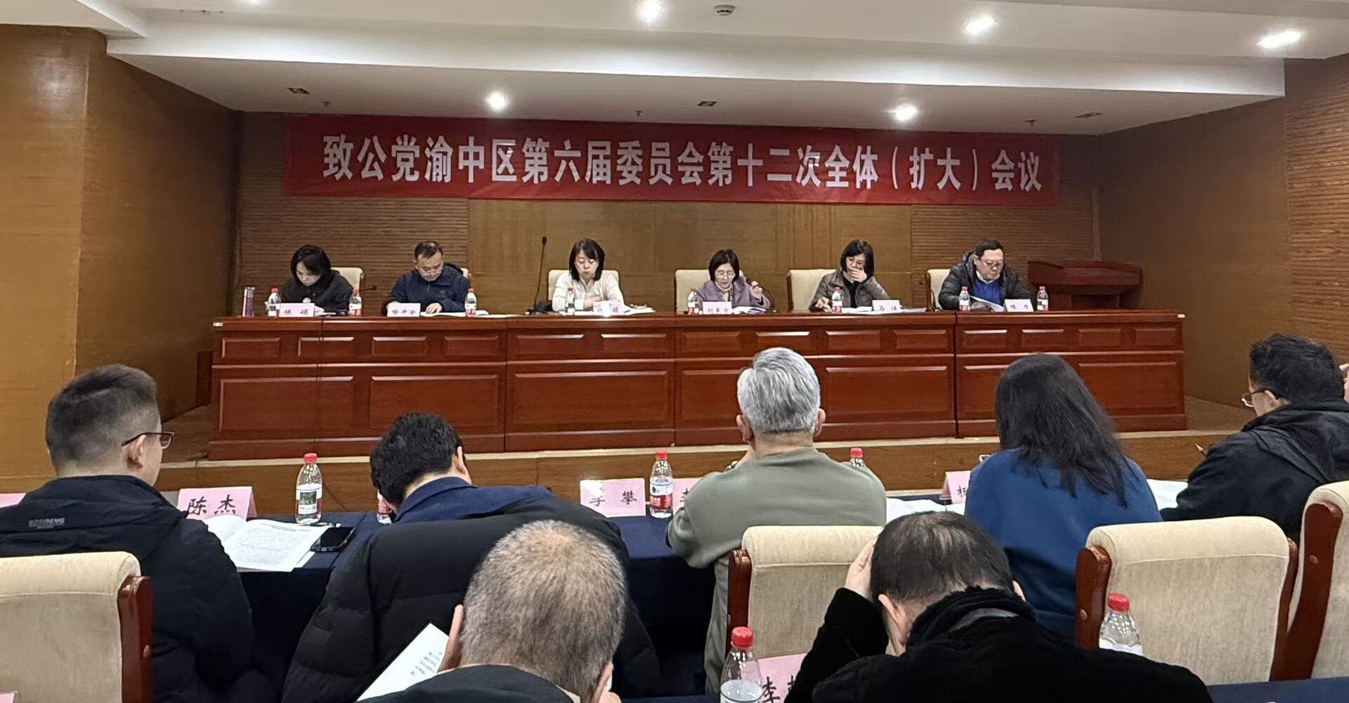 民主评议会照片